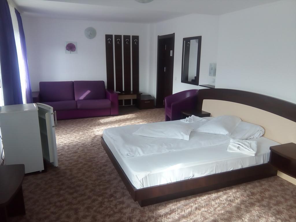 Vila Alegria Buşteni Zimmer foto